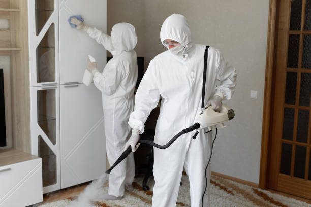 Best Black Mold Removal  in St Augustine South, FL